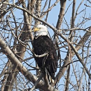 Meet your Posher, Marilyn